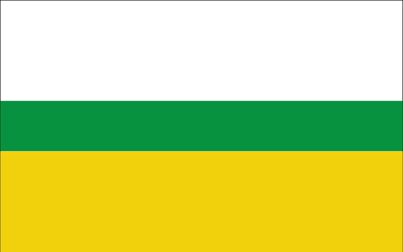 Białowieża’s flag