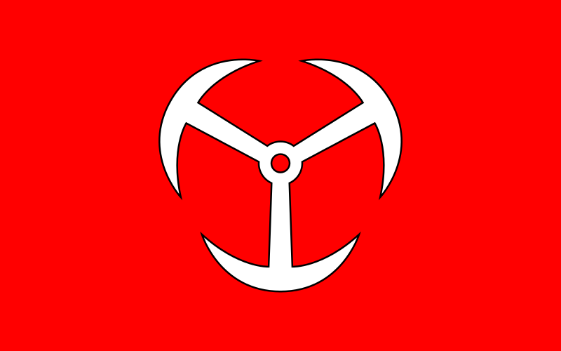 Brzeg’s flag