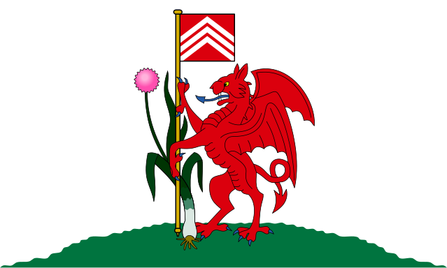 flag of Cardiff