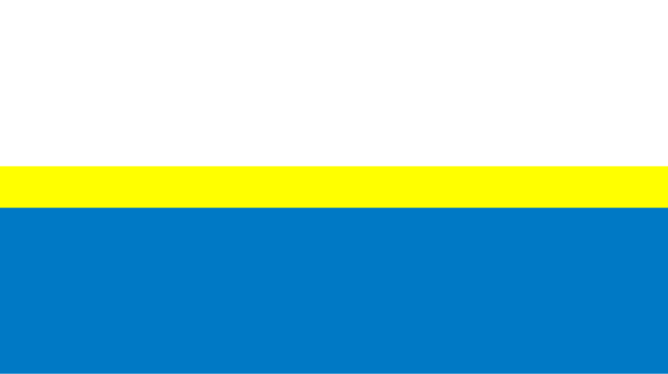Częstochowa’s flag