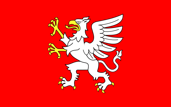 Dębica’s flag