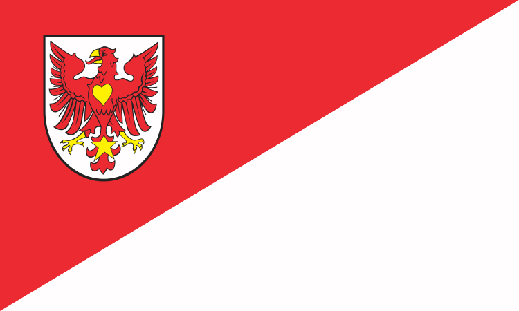 Drezdenko’s flag