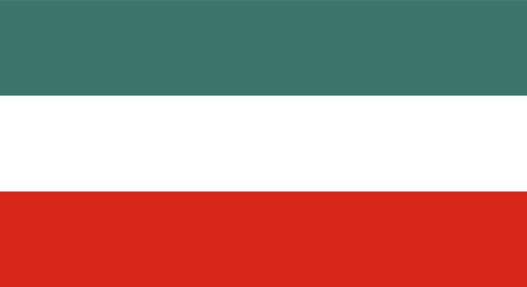 Gorzów Wielkopolski’s flag