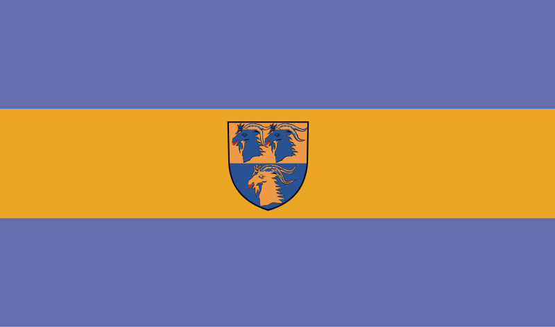 Kędzierzyn-Koźle County’s flag