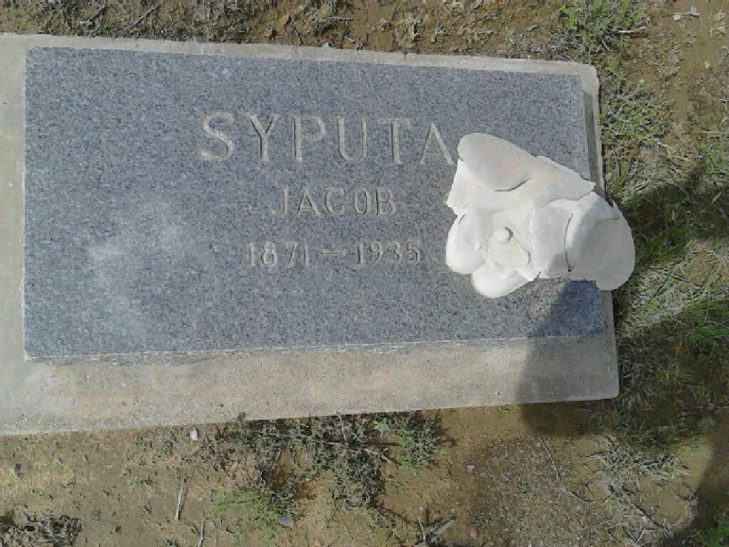 Jacob Syputa’s Grave (MR11717-P)