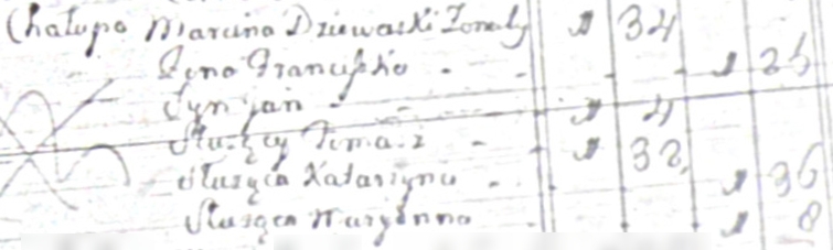 Chałupa Marcina Dziewackiego (sic!) (19 JAN 1791)