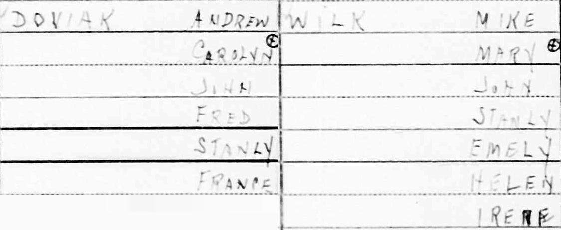 The Doviak (Andrew) and Wilk (Michael) Families in 1940 Census