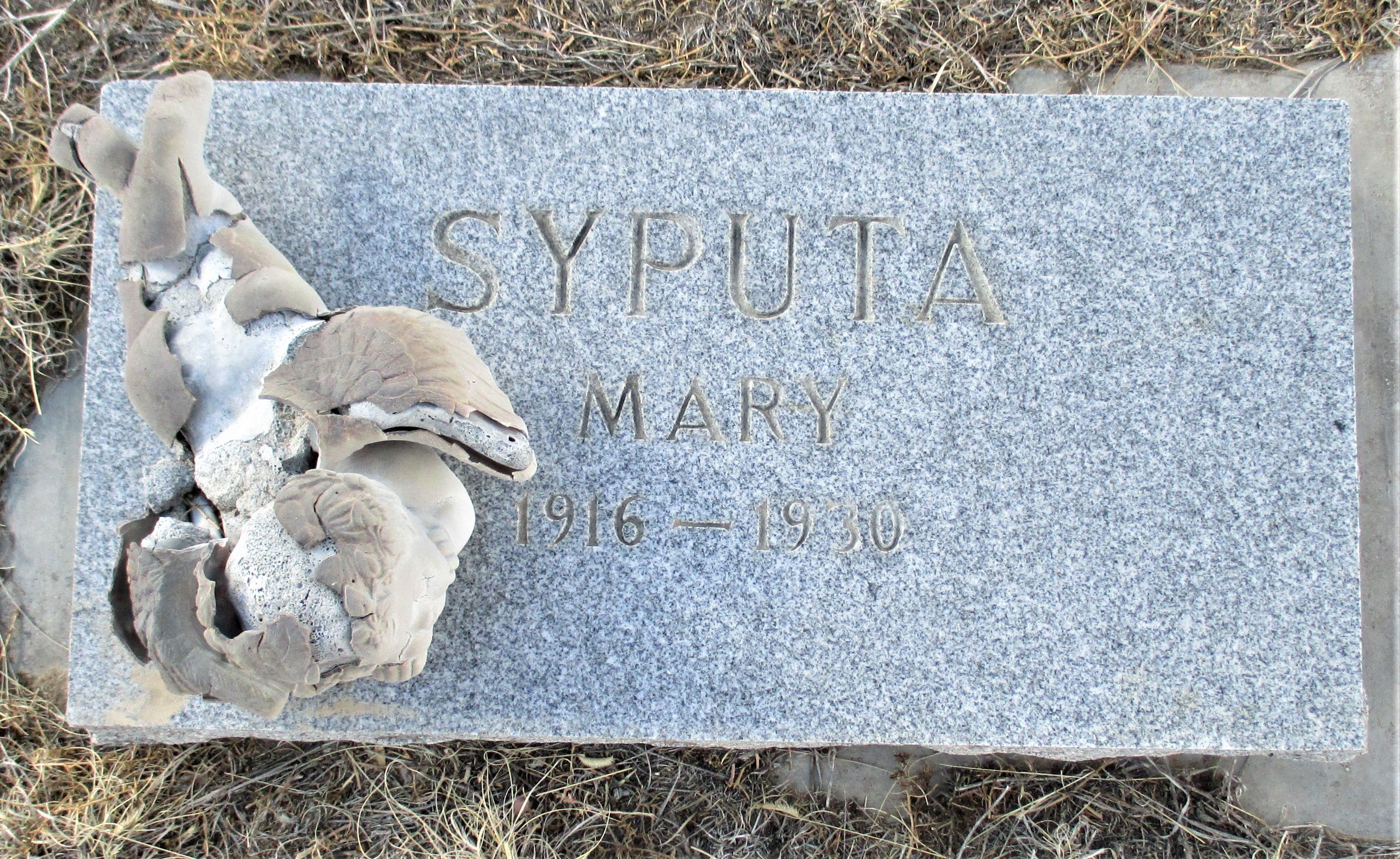 Mary Syputa Jr.’s Gravestone