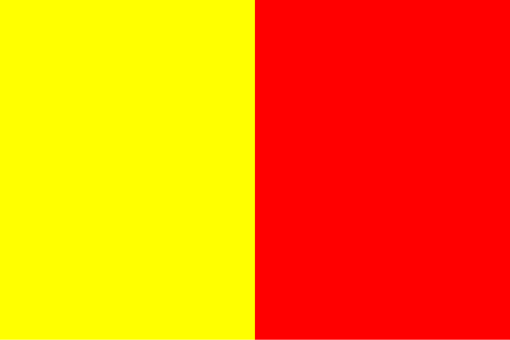 Orleans’s flag