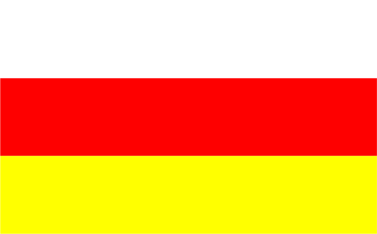 Ostrzeszów’s flag