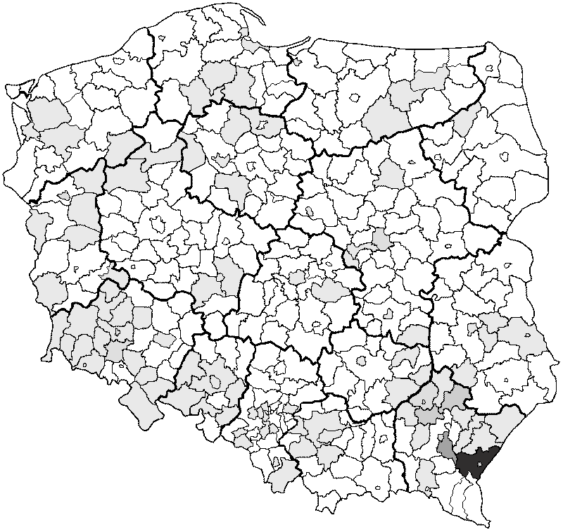 Rodzen surname in Poland