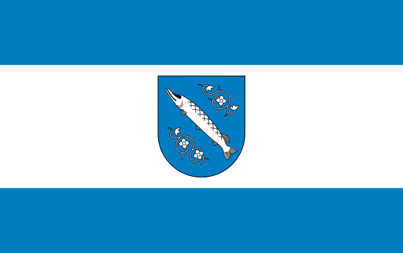 Rybnik’s flag