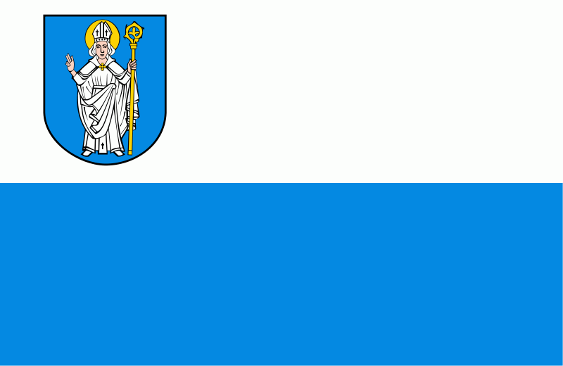 Rzgów’s flag