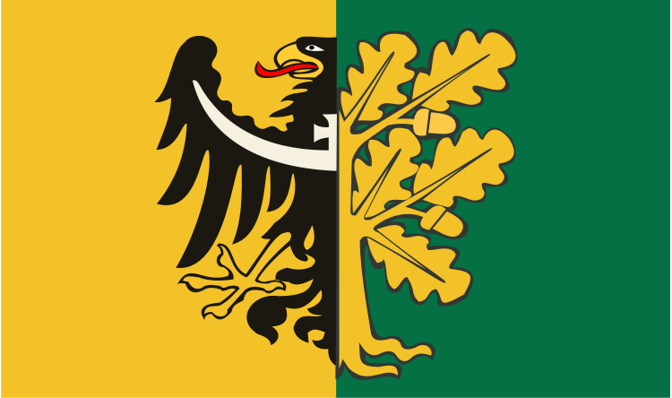 Wałbrzych County’s flag