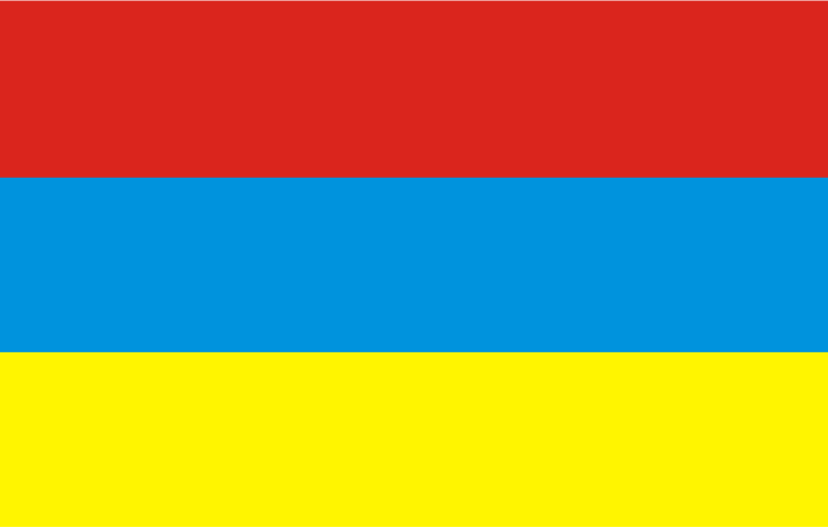 Zabrze’s flag