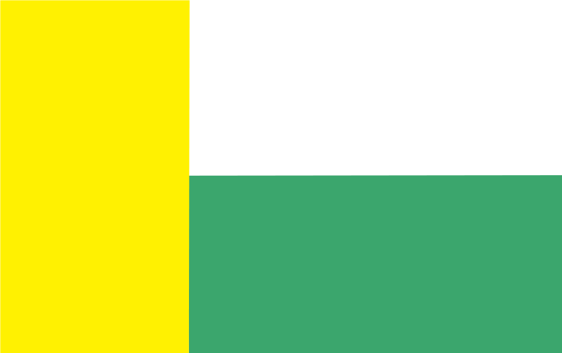 Zielona Góra’s flag