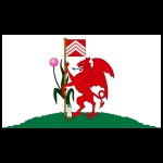 flag of Cardiff