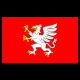 Dębica’s flag