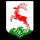 Gorzów Śląski’s coat of arms