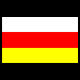 Ostrzeszów’s flag