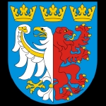 Pabianice County’s coat of arms